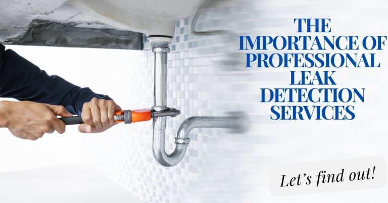 The Importance of Professional Leak Detection Services