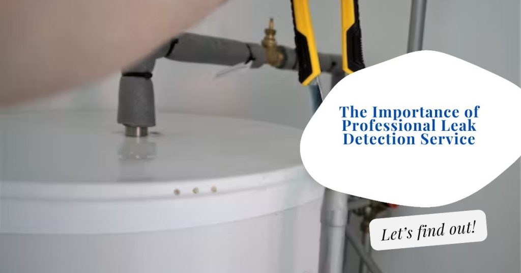 The Importance of Professional Leak Detection Service