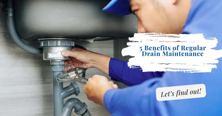 5 benefits of regular drain maintenance to prevent clogs, bad smells, and costly repairs - Louw Bros Plumbers in Plettenberg Bay and Cape Town