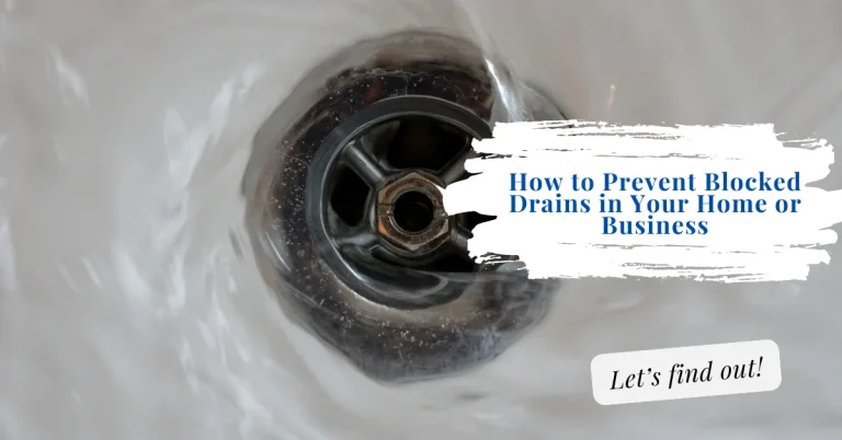 How to prevent blocked drains in your home or business with expert tips and professional drain cleaning – Louw Bros Plumbers in Plettenberg Bay and Cape Town